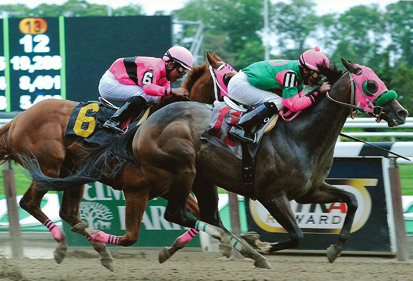 Horse Racing Partnership NY