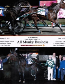 Thoroughbred Horse Racing Partnerships