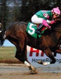 Thoroughbred Horse Racing Partnerships