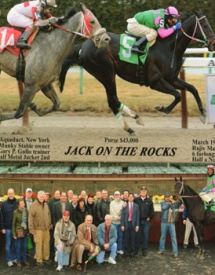 Race Horse Partnerships