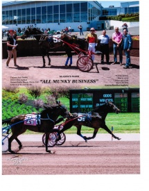 Horse Racing Programs